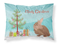 Lionhead Rabbit Christmas Standard Pillowcase Lightweight Super Soft Easy Care Decorative Artwork Pillowcase, Standard