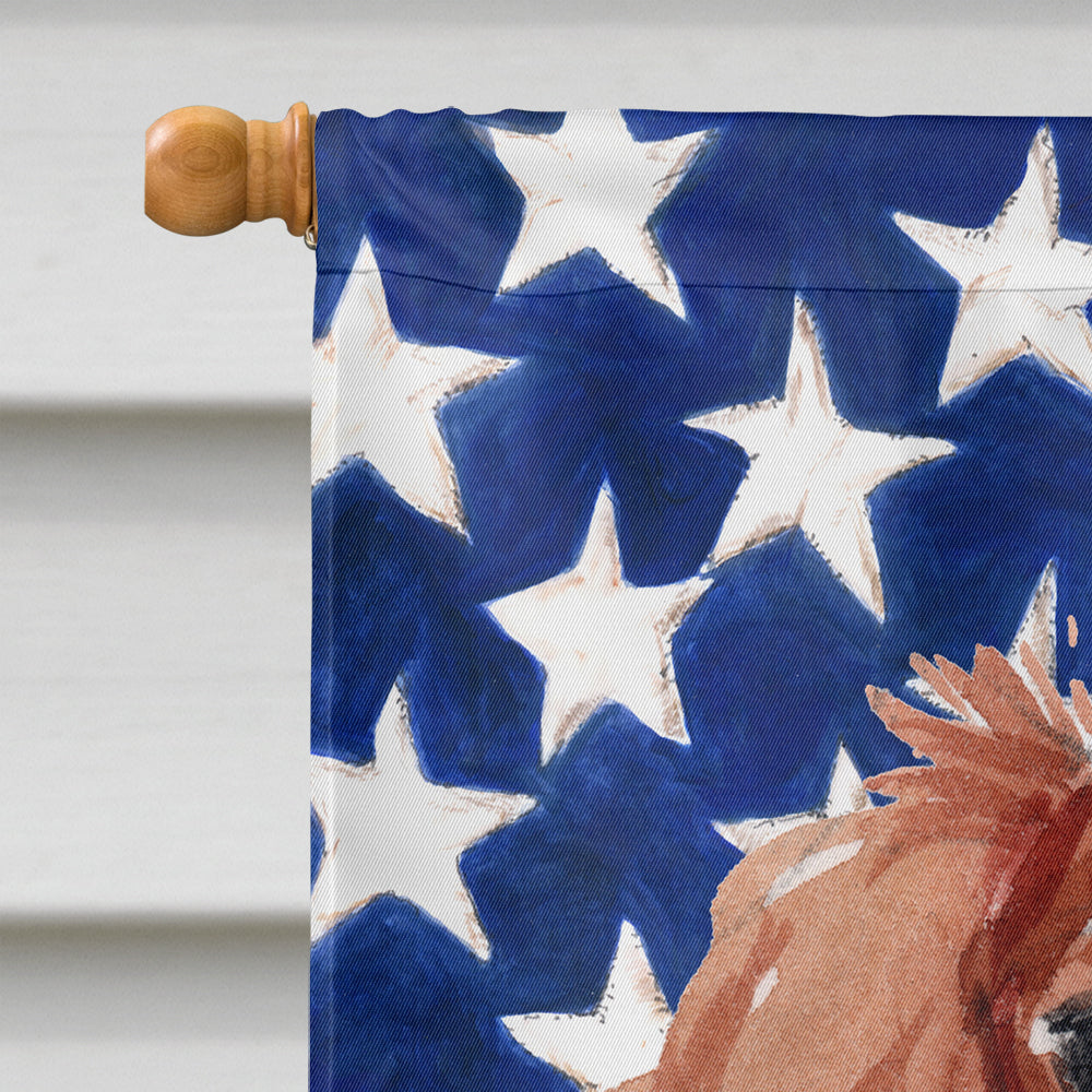 Blenheim Cavalier Spaniel Patriotic House Flag 28x40 Porch Sleeve Pole Decorative Outside Yard Banner Artwork Wall Hanging, Polyester