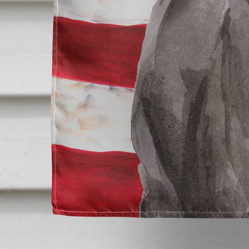 Black Labrador Patriotic House Flag 28x40 Porch Sleeve Pole Decorative Outside Yard Banner Artwork Wall Hanging, Polyester