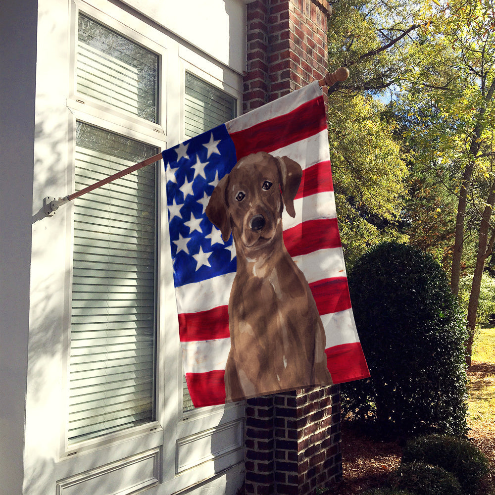 Chocolate Labrador Patriotic House Flag 28x40 Porch Sleeve Pole Decorative Outside Yard Banner Artwork Wall Hanging, Polyester
