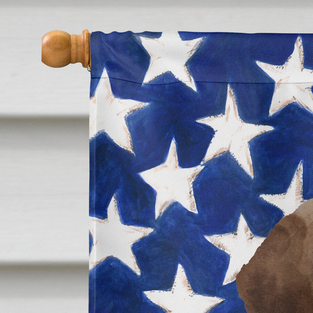 Chocolate Labrador Patriotic House Flag 28x40 Porch Sleeve Pole Decorative Outside Yard Banner Artwork Wall Hanging, Polyester