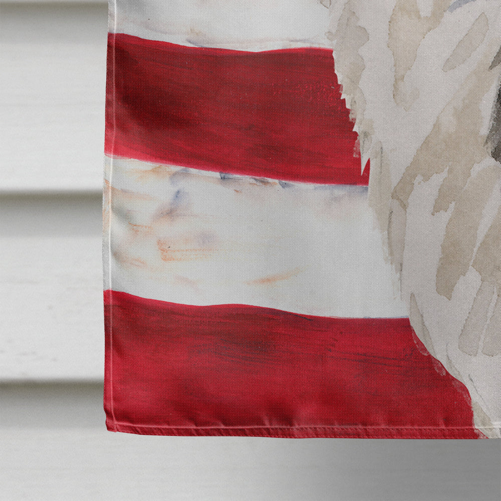 Border Collie Patriotic House Flag 28x40 Porch Sleeve Pole Decorative Outside Yard Banner Artwork Wall Hanging, Polyester