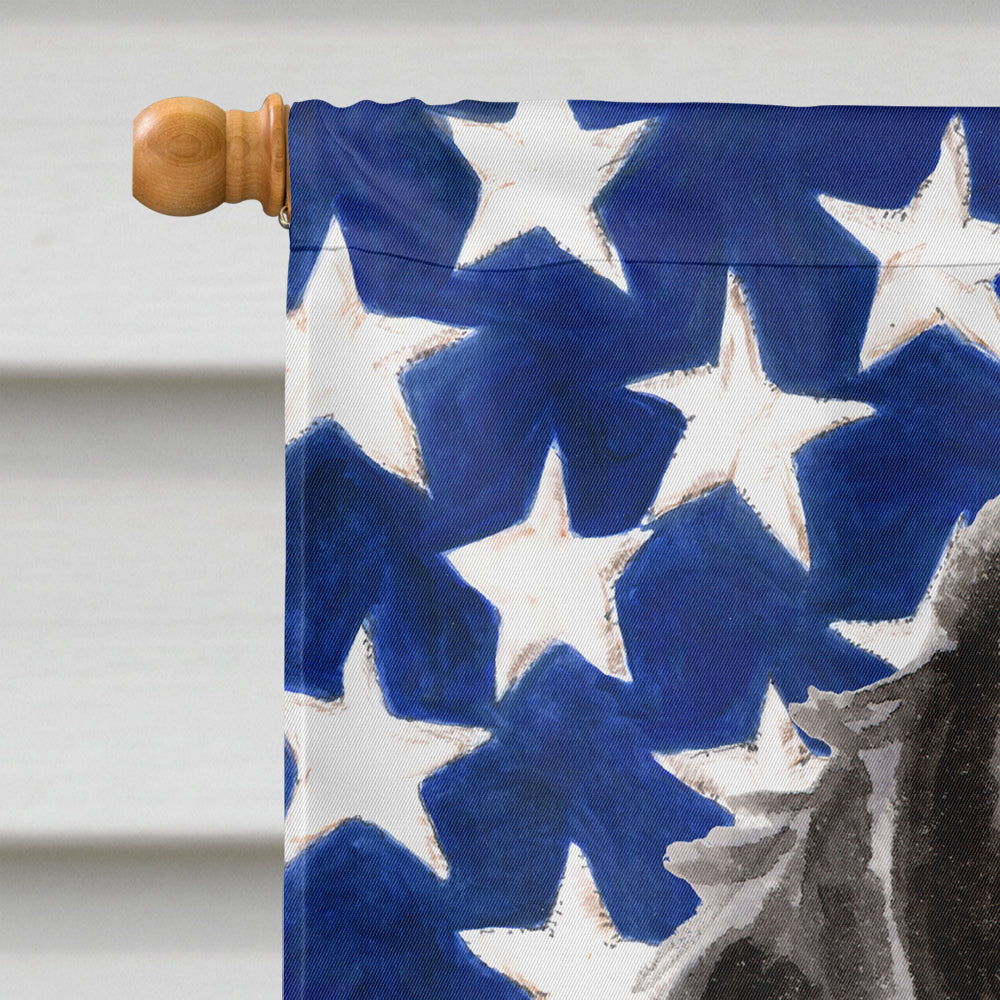 Black Parti Patriotic House Flag 28x40 Porch Sleeve Pole Decorative Outside Yard Banner Artwork Wall Hanging, Polyester