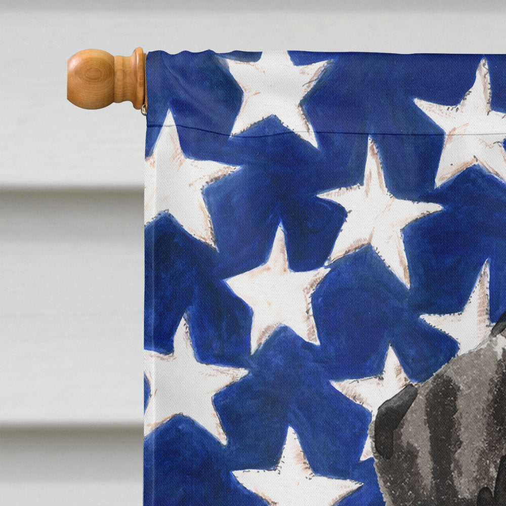 Dalmatian Patriotic House Flag 28x40 Porch Sleeve Pole Decorative Outside Yard Banner Artwork Wall Hanging, Polyester