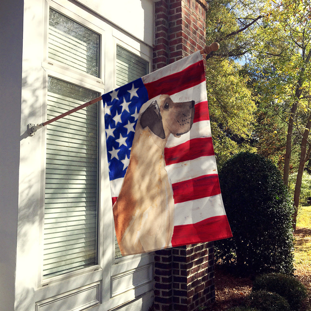 Fawn Natural Great Dane Patriotic House Flag 28x40 Porch Sleeve Pole Decorative Outside Yard Banner Artwork Wall Hanging, Polyester