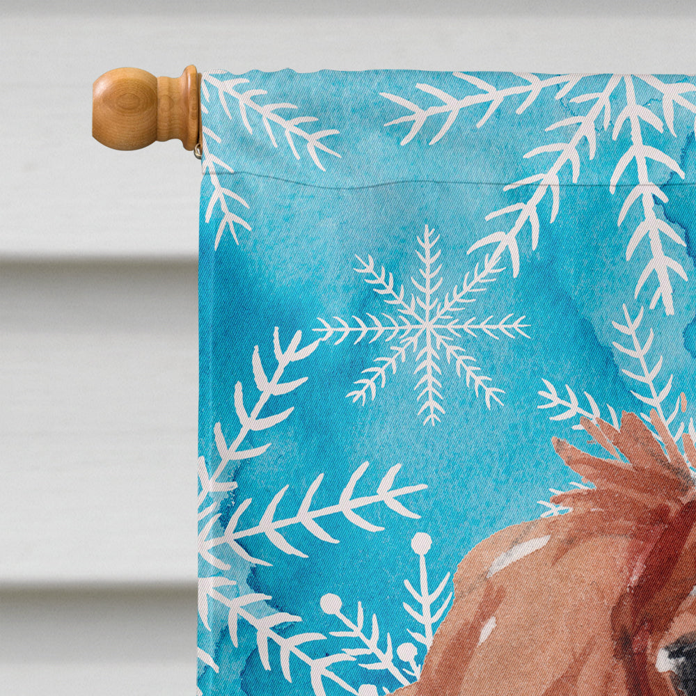 Blenheim Cavalier Spaniel Winter House Flag 28x40 Porch Sleeve Pole Decorative Outside Yard Banner Artwork Wall Hanging, Polyester