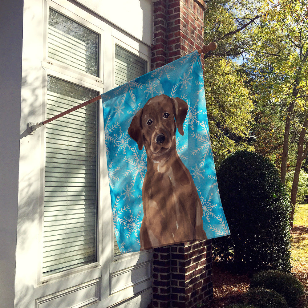 Chocolate Labrador Winter House Flag 28x40 Porch Sleeve Pole Decorative Outside Yard Banner Artwork Wall Hanging, Polyester