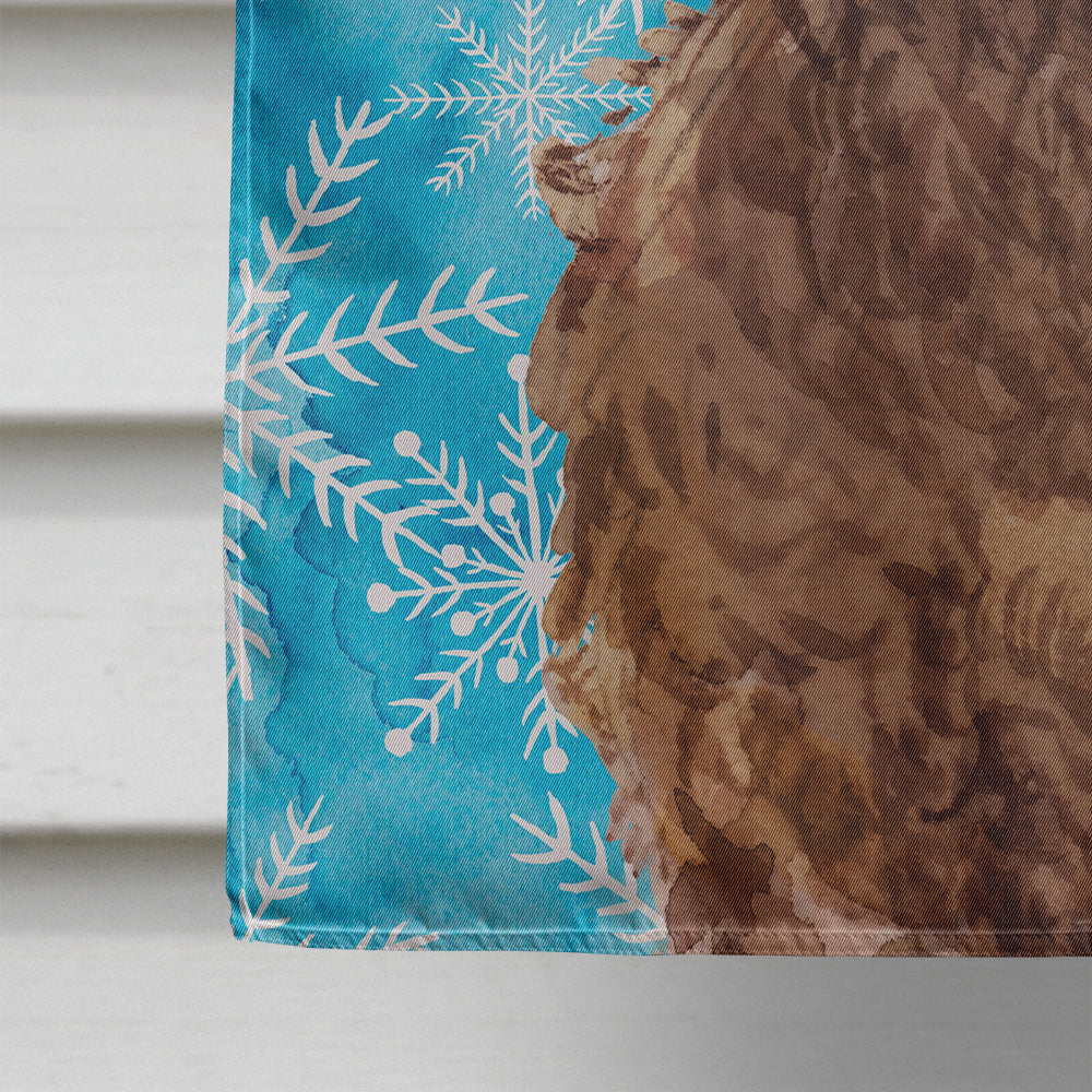 Brown Cockapoo Winter House Flag 28x40 Porch Sleeve Pole Decorative Outside Yard Banner Artwork Wall Hanging, Polyester