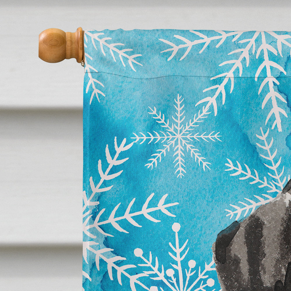 Dalmatian Winter House Flag 28x40 Porch Sleeve Pole Decorative Outside Yard Banner Artwork Wall Hanging, Polyester