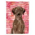 Chocolate Labrador Love House Flag 28x40 Porch Sleeve Pole Decorative Outside Yard Banner Artwork Wall Hanging, Polyester