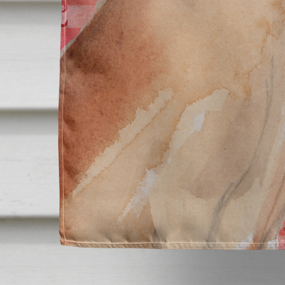 Fawn Natural Great Dane Love House Flag 28x40 Porch Sleeve Pole Decorative Outside Yard Banner Artwork Wall Hanging, Polyester