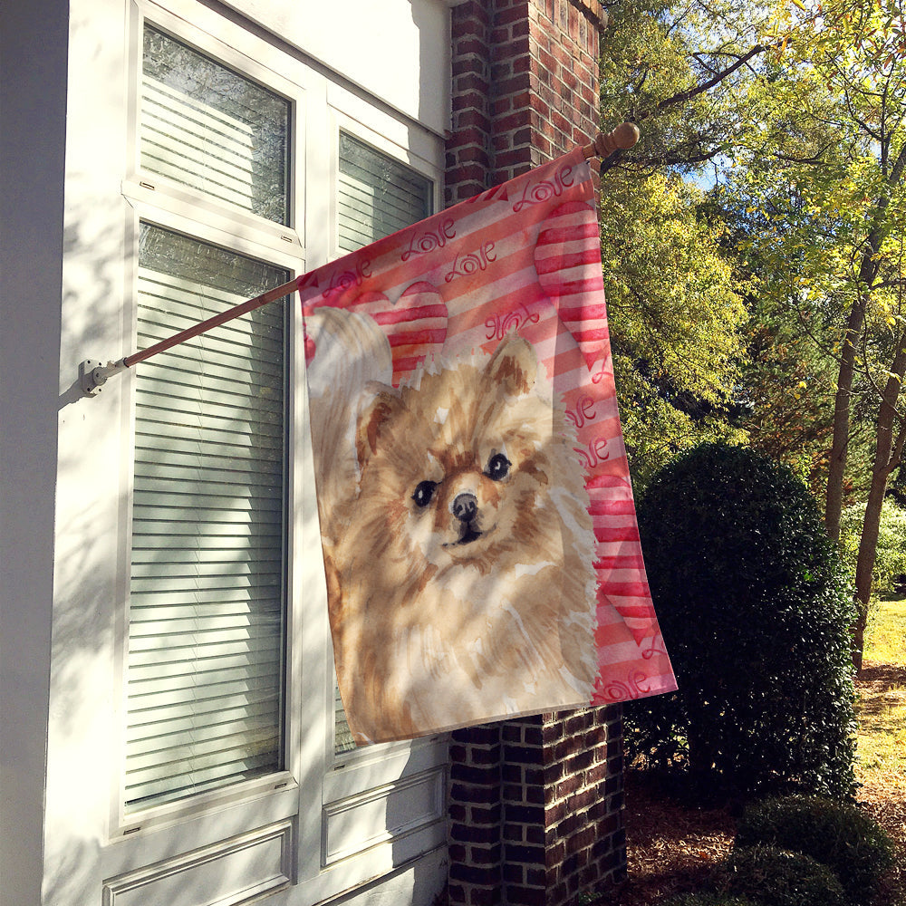 Pomeranian Love House Flag 28x40 Porch Sleeve Pole Decorative Outside Yard Banner Artwork Wall Hanging, Polyester