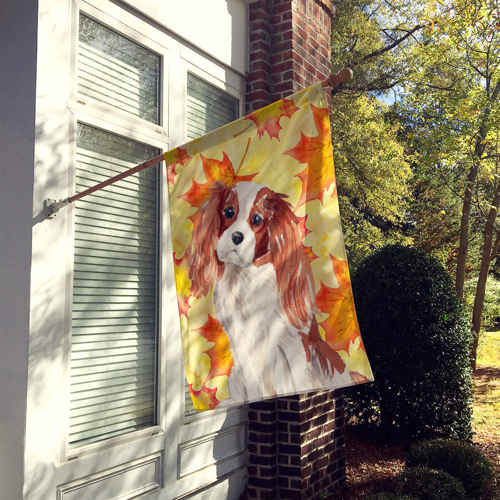 Blenheim Cavalier Spaniel Fall House Flag 28x40 Porch Sleeve Pole Decorative Outside Yard Banner Artwork Wall Hanging, Polyester