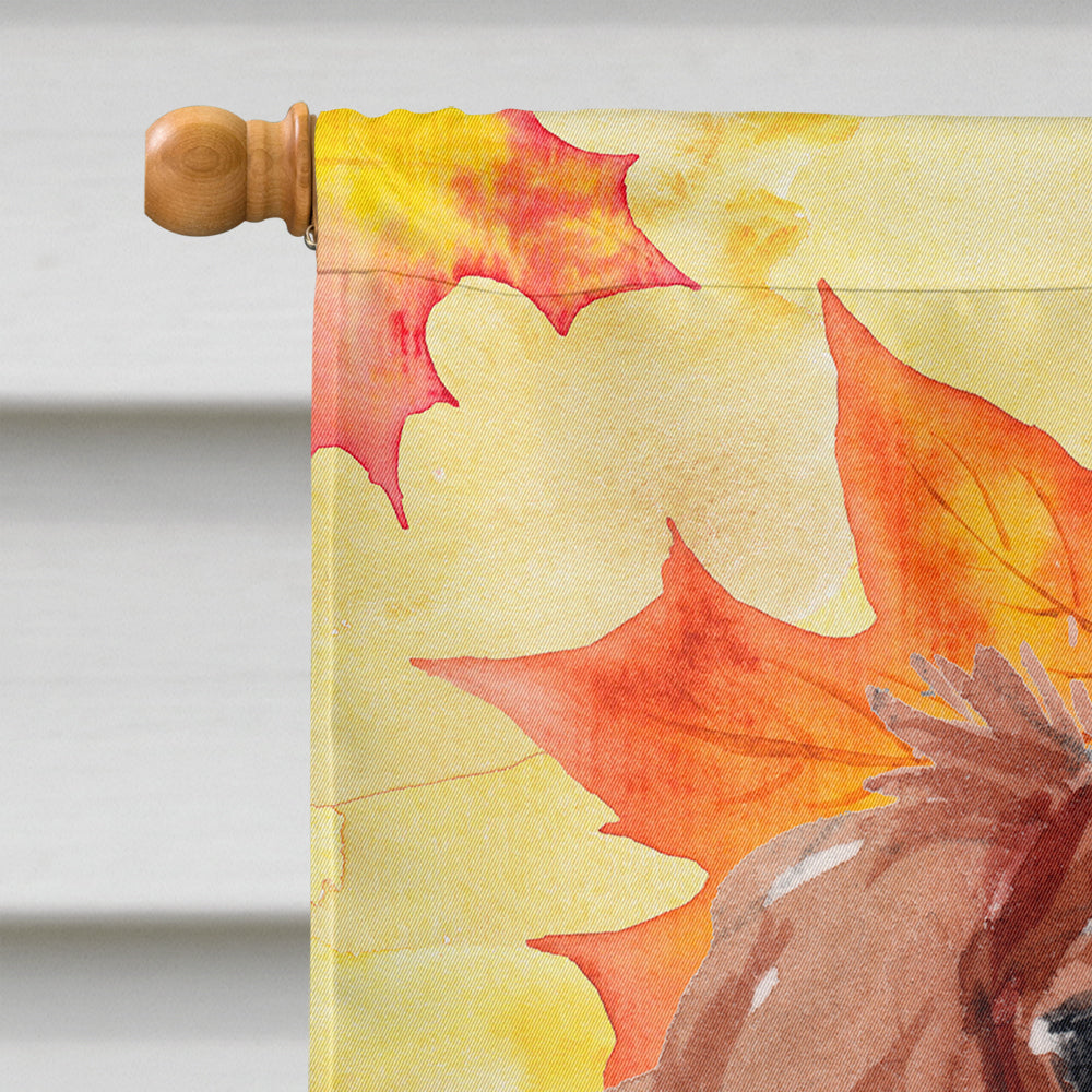 Blenheim Cavalier Spaniel Fall House Flag 28x40 Porch Sleeve Pole Decorative Outside Yard Banner Artwork Wall Hanging, Polyester