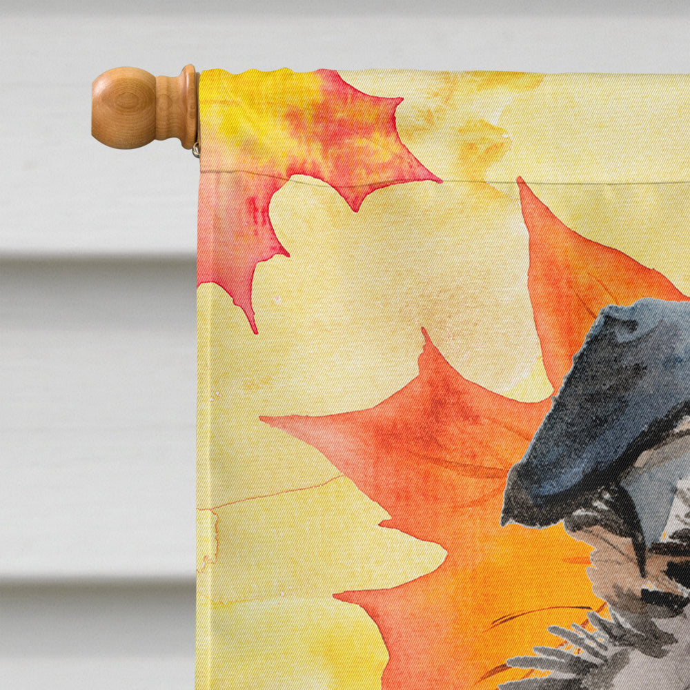 Australian Shepherd Fall House Flag 28x40 Porch Sleeve Pole Decorative Outside Yard Banner Artwork Wall Hanging, Polyester