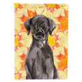 Black Labrador Fall House Flag 28x40 Porch Sleeve Pole Decorative Outside Yard Banner Artwork Wall Hanging, Polyester