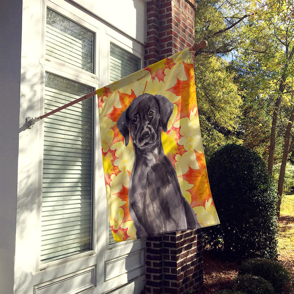 Black Labrador Fall House Flag 28x40 Porch Sleeve Pole Decorative Outside Yard Banner Artwork Wall Hanging, Polyester