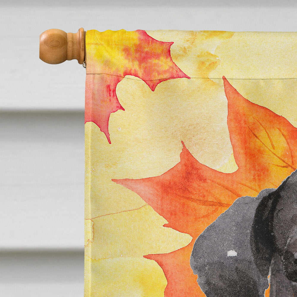 Black Labrador Fall House Flag 28x40 Porch Sleeve Pole Decorative Outside Yard Banner Artwork Wall Hanging, Polyester
