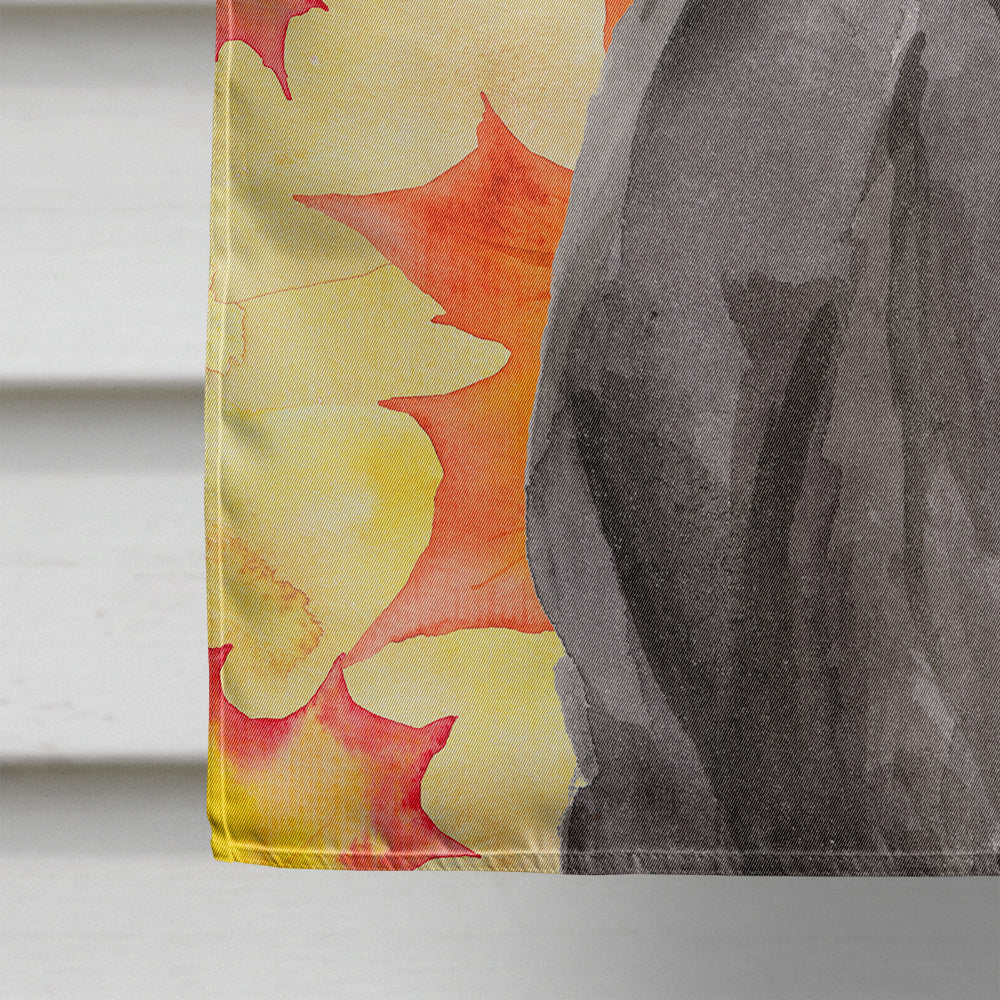 Black Labrador Fall House Flag 28x40 Porch Sleeve Pole Decorative Outside Yard Banner Artwork Wall Hanging, Polyester