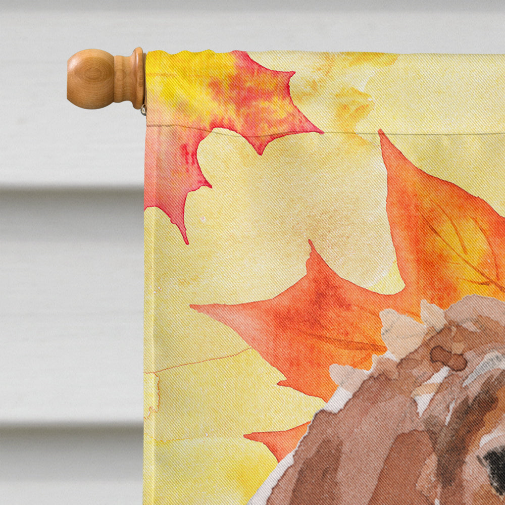 Brittany Spaniel Fall House Flag 28x40 Porch Sleeve Pole Decorative Outside Yard Banner Artwork Wall Hanging, Polyester