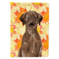 Chocolate Labrador Fall House Flag 28x40 Porch Sleeve Pole Decorative Outside Yard Banner Artwork Wall Hanging, Polyester