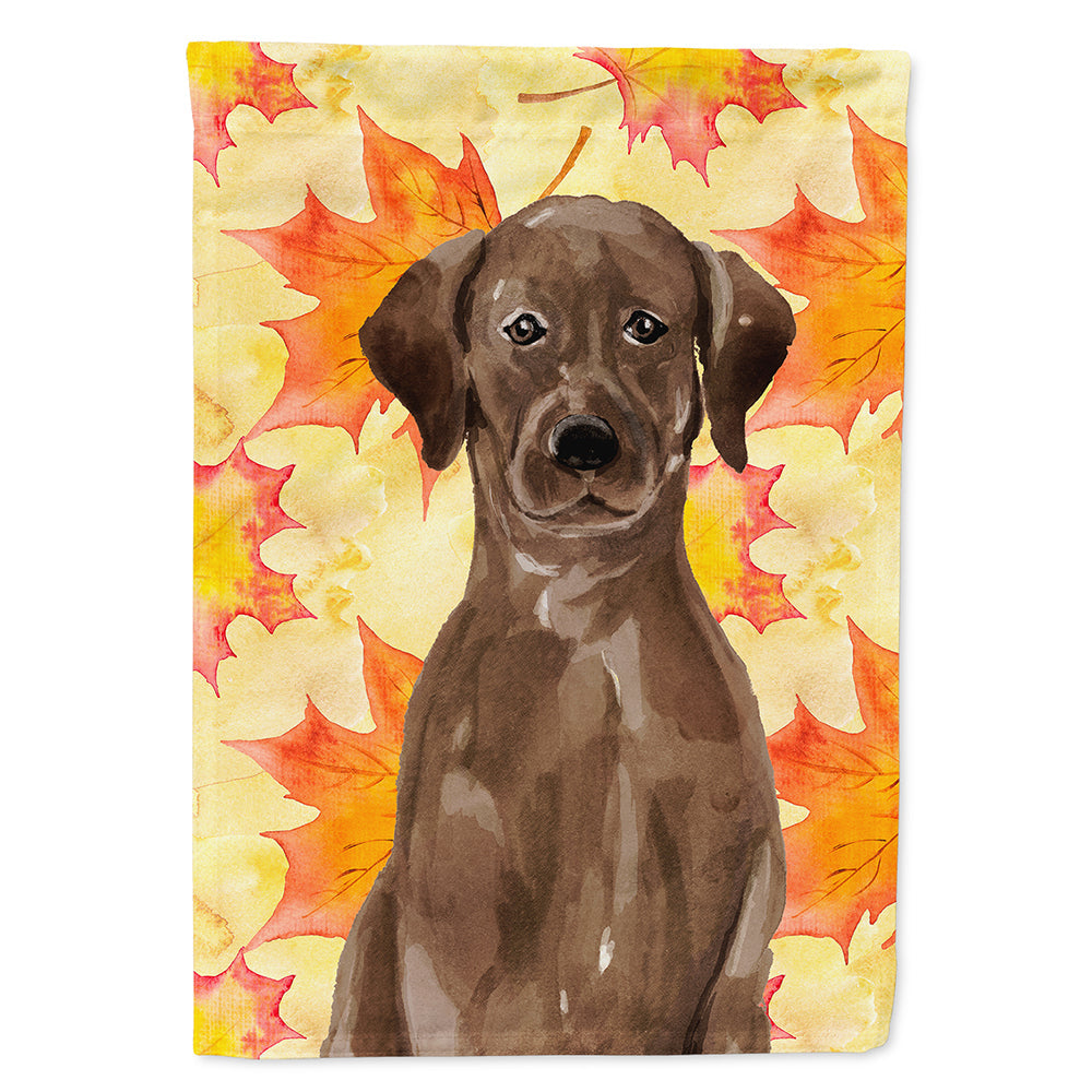 Chocolate Labrador Fall House Flag 28x40 Porch Sleeve Pole Decorative Outside Yard Banner Artwork Wall Hanging, Polyester