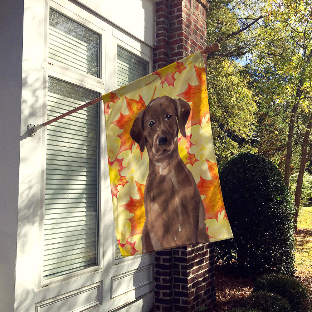 Chocolate Labrador Fall House Flag 28x40 Porch Sleeve Pole Decorative Outside Yard Banner Artwork Wall Hanging, Polyester