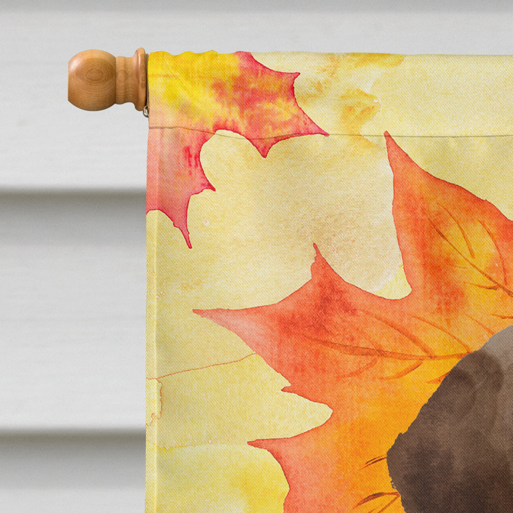 Chocolate Labrador Fall House Flag 28x40 Porch Sleeve Pole Decorative Outside Yard Banner Artwork Wall Hanging, Polyester
