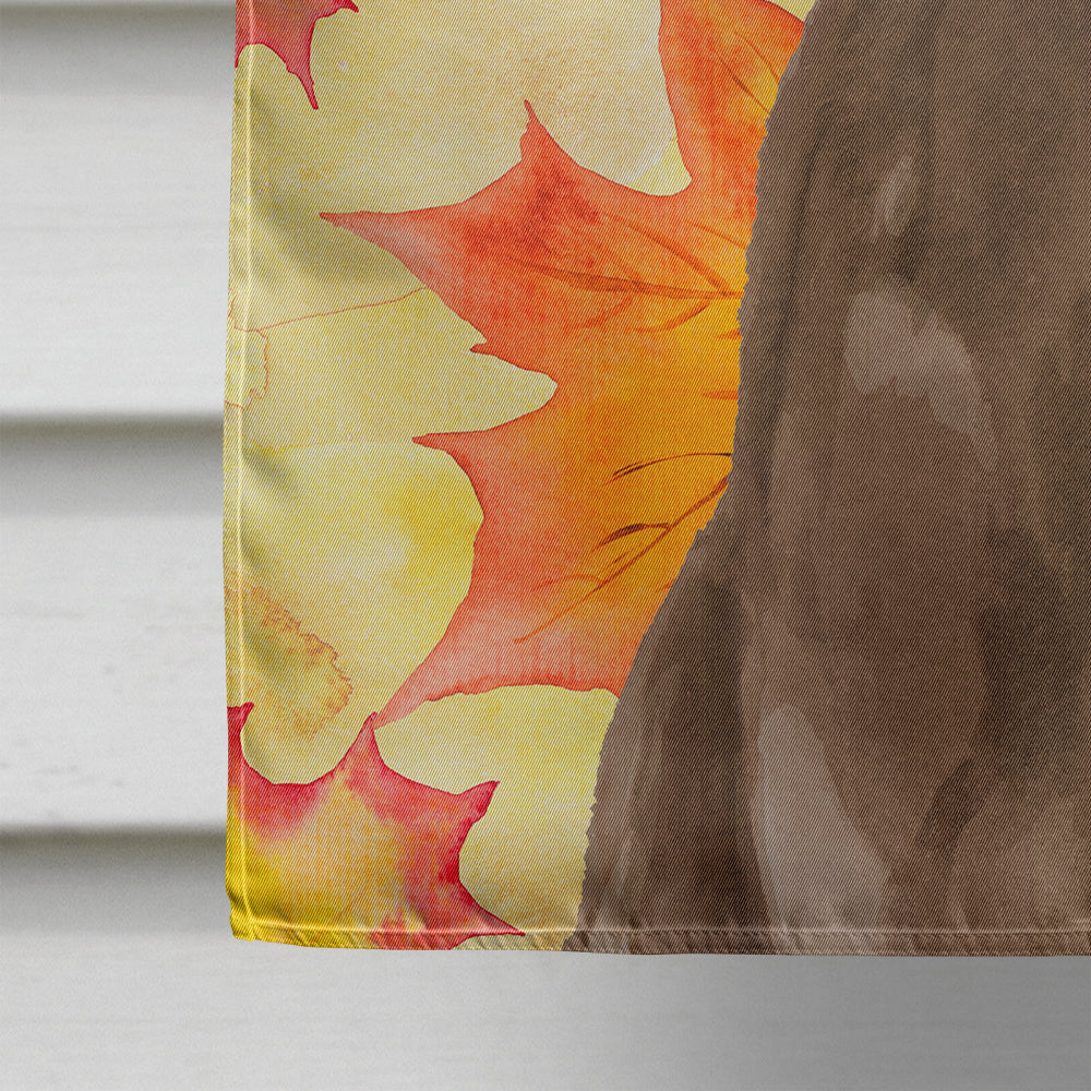 Chocolate Labrador Fall House Flag 28x40 Porch Sleeve Pole Decorative Outside Yard Banner Artwork Wall Hanging, Polyester