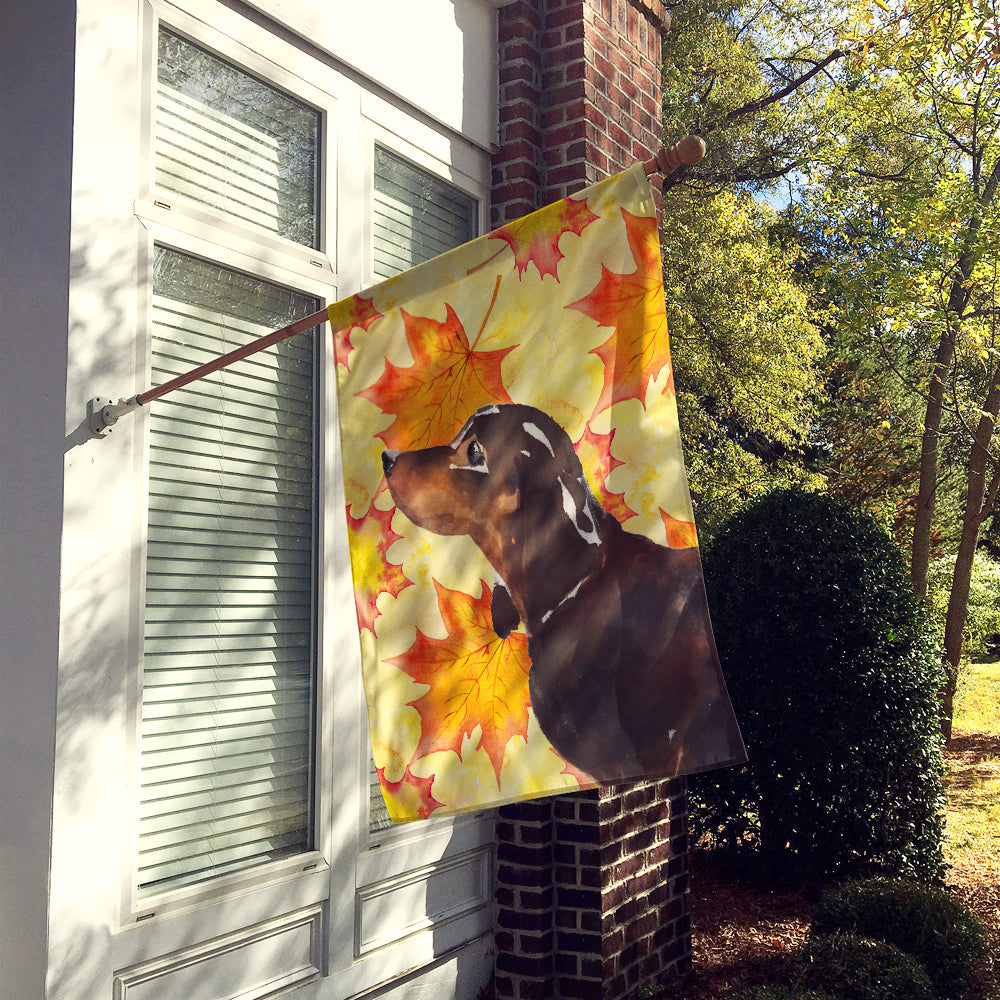 Black and Tan Dachshund Fall House Flag 28x40 Porch Sleeve Pole Decorative Outside Yard Banner Artwork Wall Hanging, Polyester