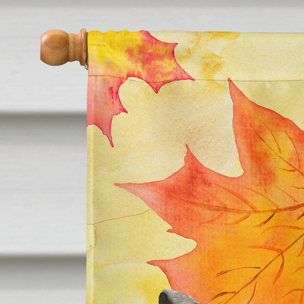 Black and Tan Dachshund Fall House Flag 28x40 Porch Sleeve Pole Decorative Outside Yard Banner Artwork Wall Hanging, Polyester