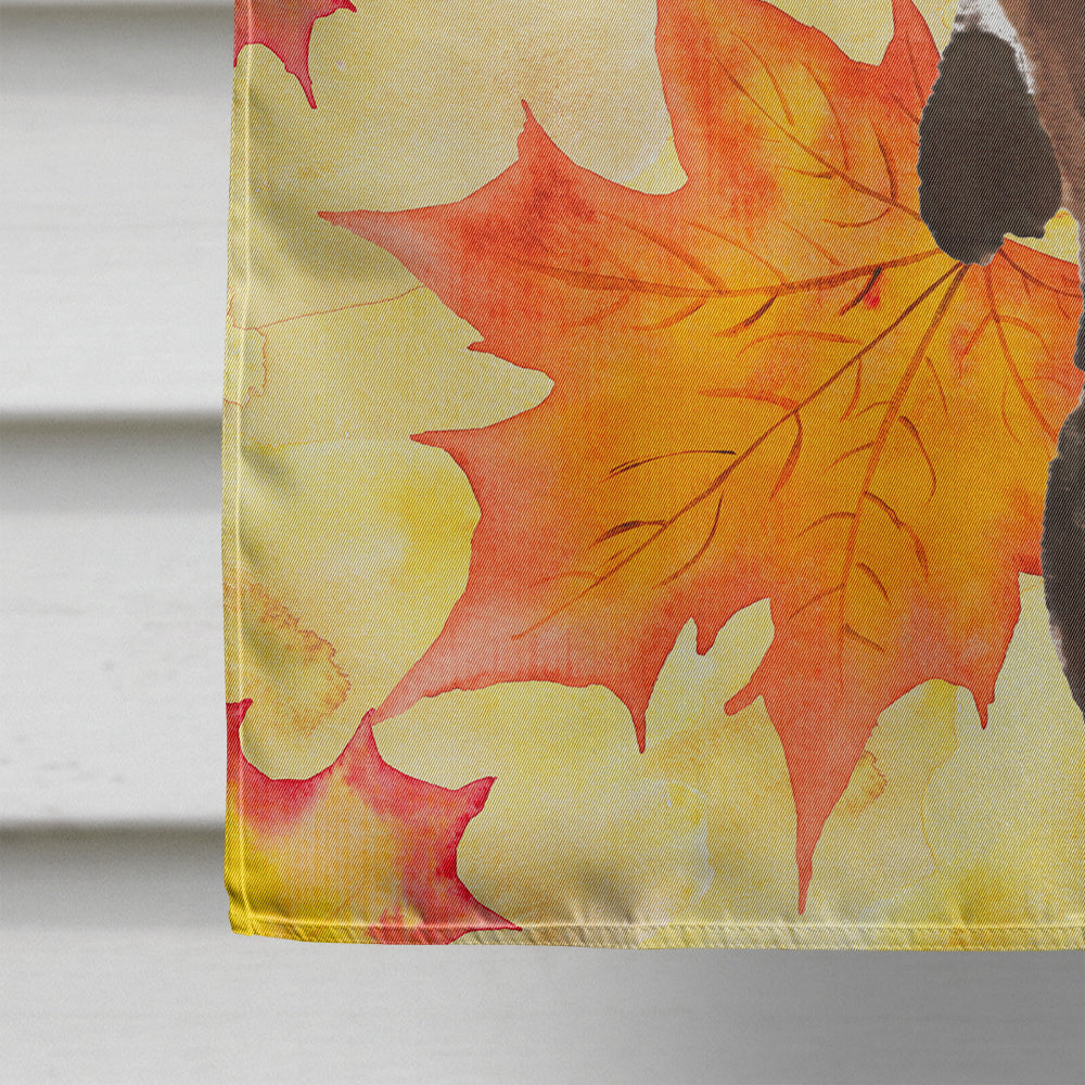Black and Tan Dachshund Fall House Flag 28x40 Porch Sleeve Pole Decorative Outside Yard Banner Artwork Wall Hanging, Polyester