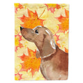 Red Tan Dachshund Fall House Flag 28x40 Porch Sleeve Pole Decorative Outside Yard Banner Artwork Wall Hanging, Polyester