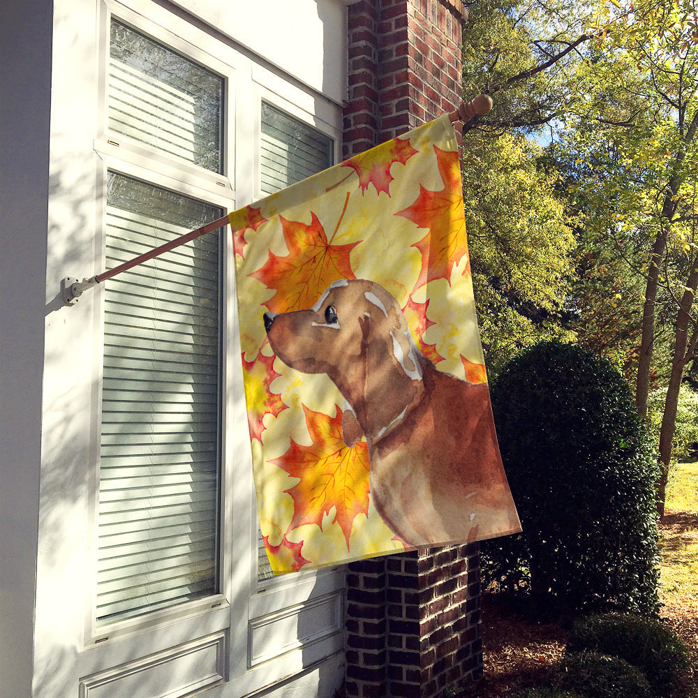 Red Tan Dachshund Fall House Flag 28x40 Porch Sleeve Pole Decorative Outside Yard Banner Artwork Wall Hanging, Polyester