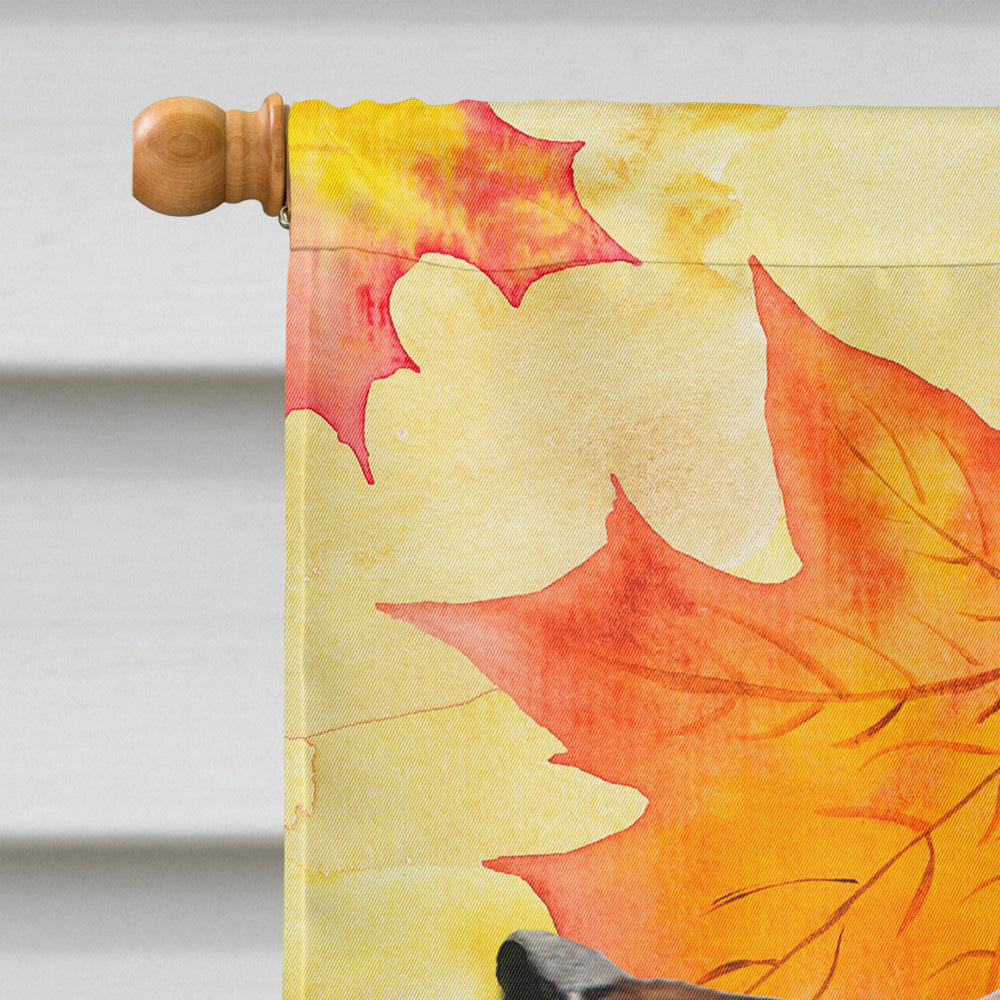 Red Tan Dachshund Fall House Flag 28x40 Porch Sleeve Pole Decorative Outside Yard Banner Artwork Wall Hanging, Polyester