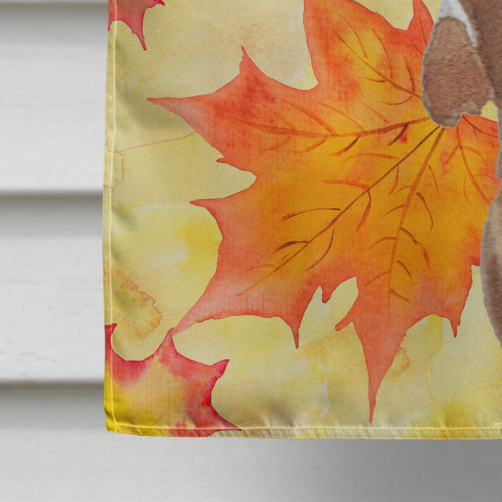 Red Tan Dachshund Fall House Flag 28x40 Porch Sleeve Pole Decorative Outside Yard Banner Artwork Wall Hanging, Polyester
