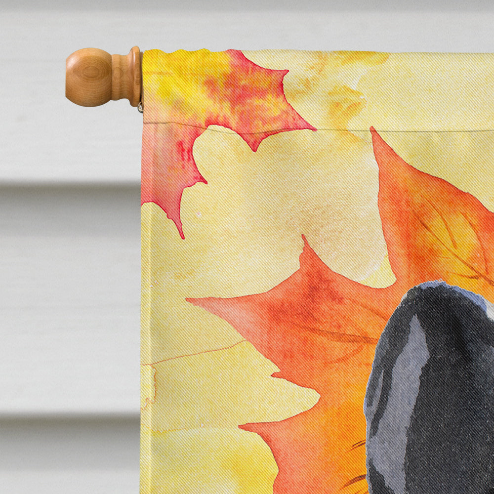 Black White French Bulldog Fall House Flag 28x40 Porch Sleeve Pole Decorative Outside Yard Banner Artwork Wall Hanging, Polyester