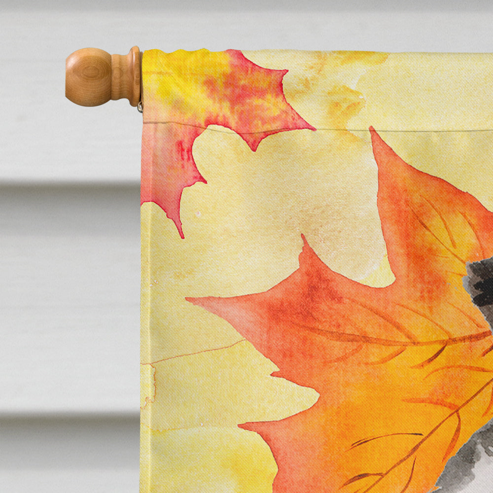 Border Collie Fall House Flag 28x40 Porch Sleeve Pole Decorative Outside Yard Banner Artwork Wall Hanging, Polyester