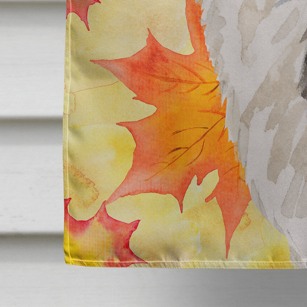 Border Collie Fall House Flag 28x40 Porch Sleeve Pole Decorative Outside Yard Banner Artwork Wall Hanging, Polyester