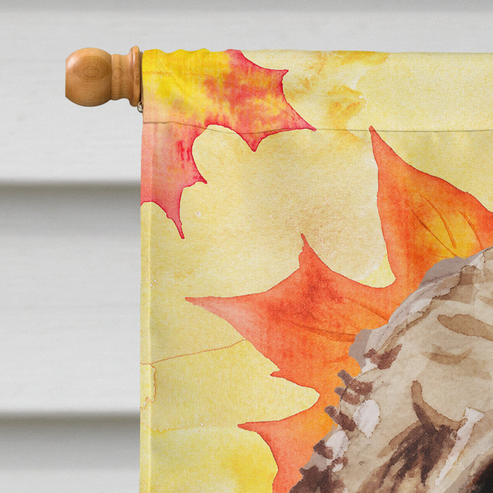 Brown Cockapoo Fall House Flag 28x40 Porch Sleeve Pole Decorative Outside Yard Banner Artwork Wall Hanging, Polyester