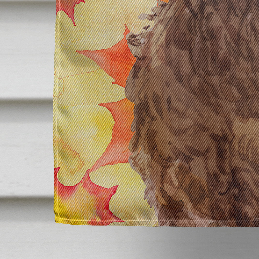 Brown Cockapoo Fall House Flag 28x40 Porch Sleeve Pole Decorative Outside Yard Banner Artwork Wall Hanging, Polyester