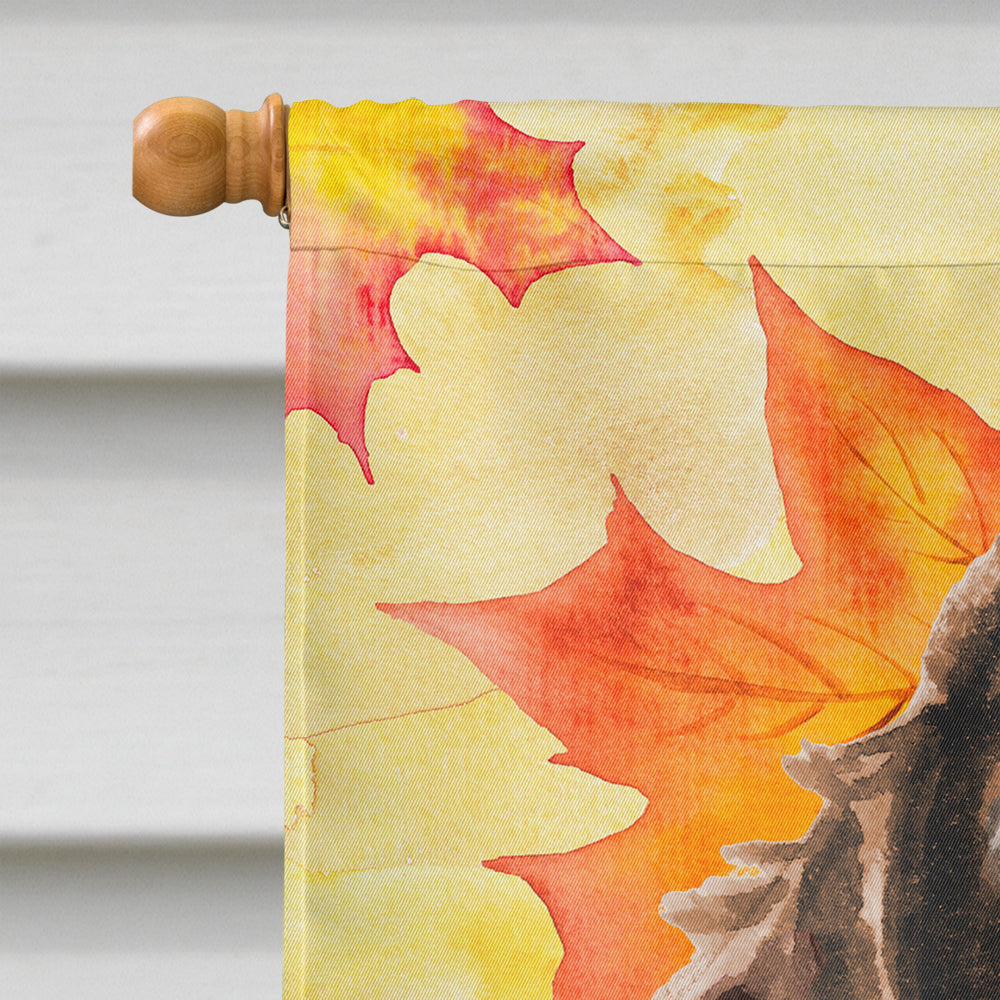 Brown Parti Fall House Flag 28x40 Porch Sleeve Pole Decorative Outside Yard Banner Artwork Wall Hanging, Polyester