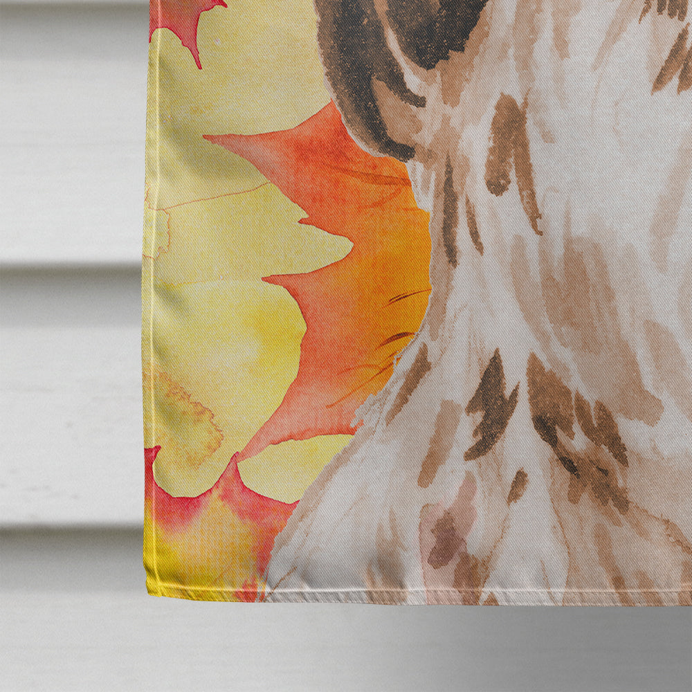 Brown Parti Fall House Flag 28x40 Porch Sleeve Pole Decorative Outside Yard Banner Artwork Wall Hanging, Polyester