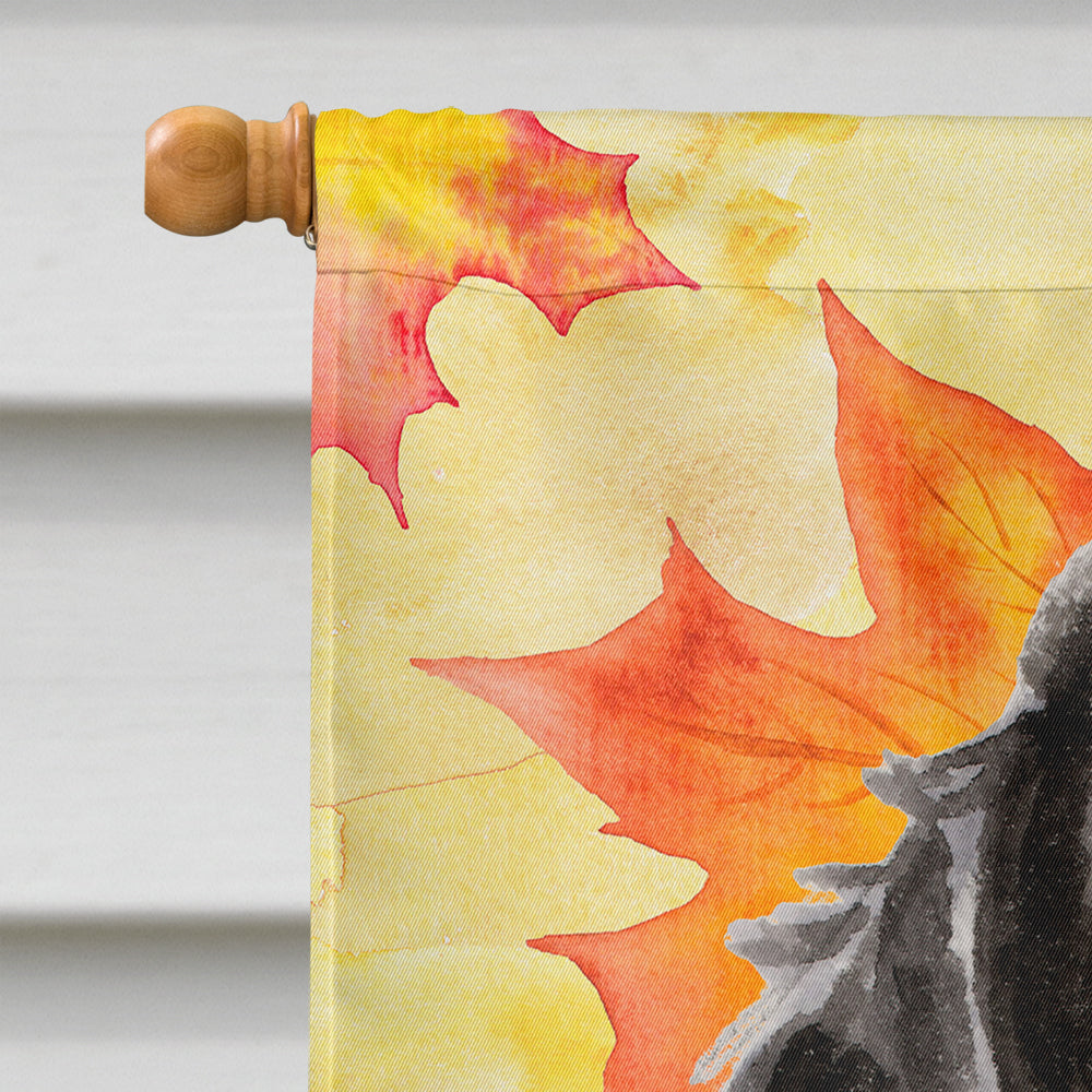 Black Parti Fall House Flag 28x40 Porch Sleeve Pole Decorative Outside Yard Banner Artwork Wall Hanging, Polyester