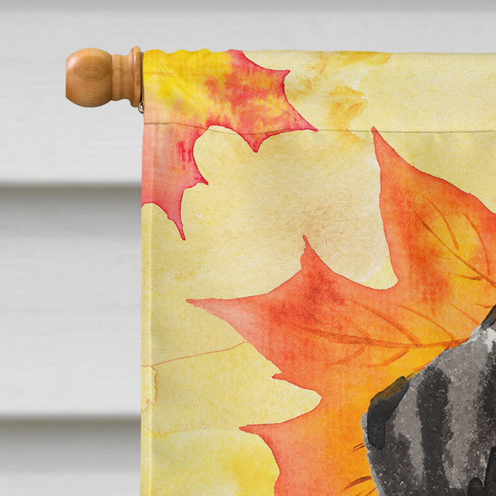Dalmatian Fall House Flag 28x40 Porch Sleeve Pole Decorative Outside Yard Banner Artwork Wall Hanging, Polyester