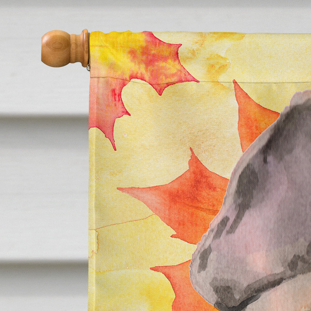 Fawn French Bulldog Fall House Flag 28x40 Porch Sleeve Pole Decorative Outside Yard Banner Artwork Wall Hanging, Polyester