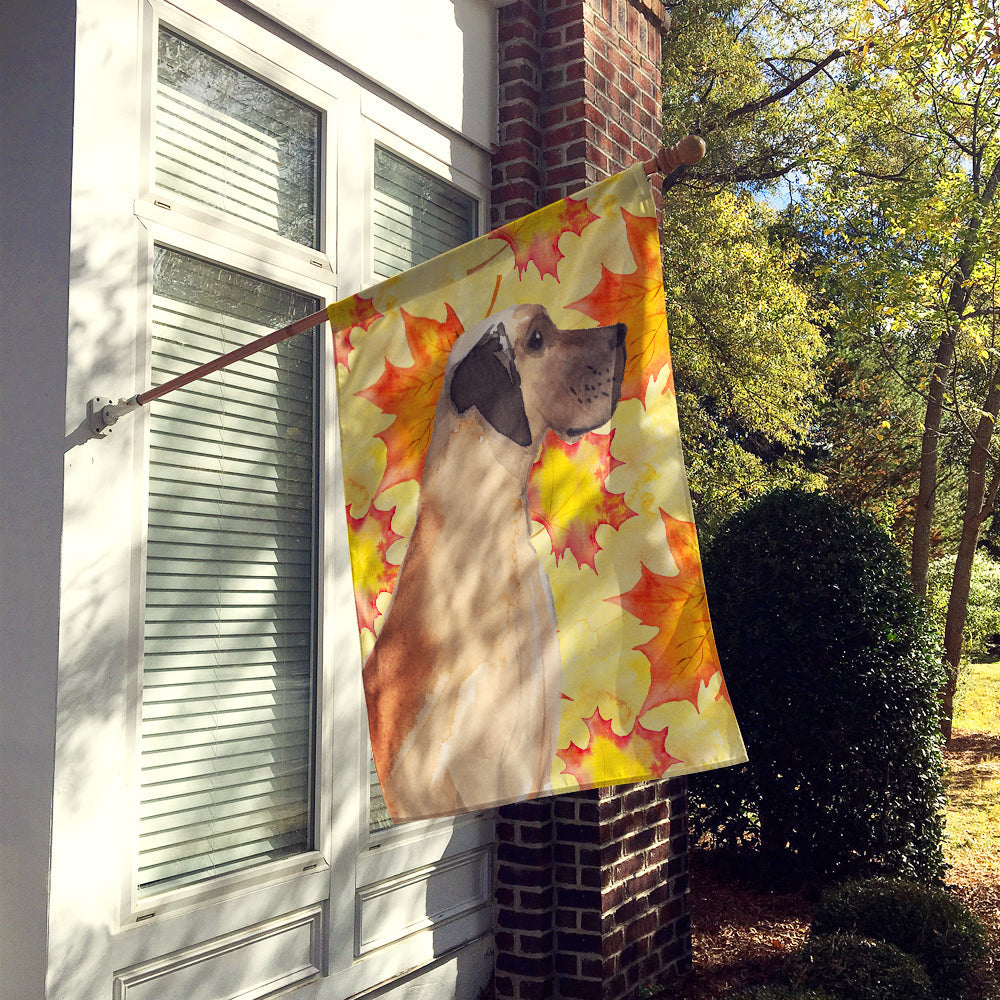 Fawn Natural Great Dane Fall House Flag 28x40 Porch Sleeve Pole Decorative Outside Yard Banner Artwork Wall Hanging, Polyester