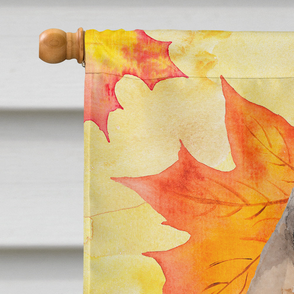 Fawn Natural Great Dane Fall House Flag 28x40 Porch Sleeve Pole Decorative Outside Yard Banner Artwork Wall Hanging, Polyester