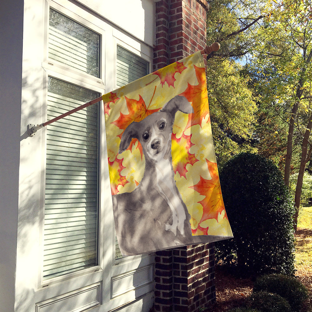 Italian Greyhound Fall House Flag 28x40 Porch Sleeve Pole Decorative Outside Yard Banner Artwork Wall Hanging, Polyester