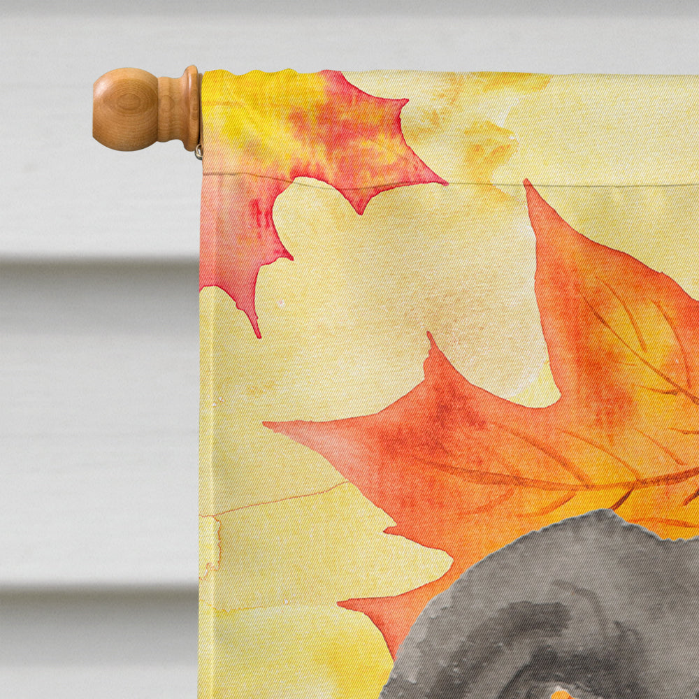 Italian Greyhound Fall House Flag 28x40 Porch Sleeve Pole Decorative Outside Yard Banner Artwork Wall Hanging, Polyester
